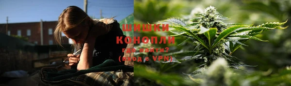 первитин Новозыбков