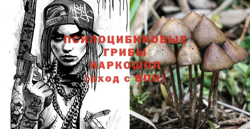 где купить наркотик  Искитим  Псилоцибиновые грибы Psilocybe 