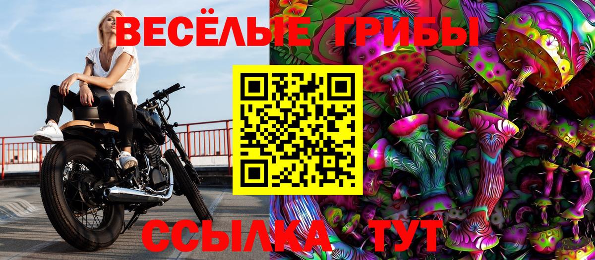 Псилоцибиновые грибы GOLDEN TEACHER  Псилоцибиновые грибы Psilocybe  Вход с VPN  наркота  Искитим 