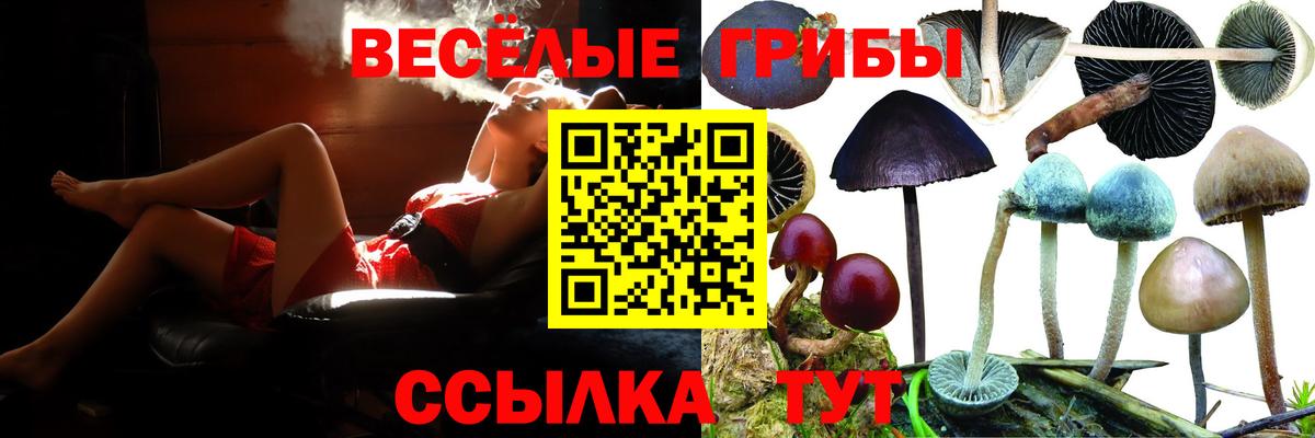 Галлюциногенные грибы GOLDEN TEACHER Искитим